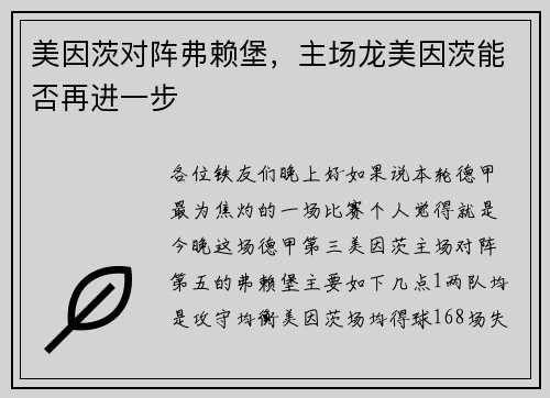 美因茨对阵弗赖堡，主场龙美因茨能否再进一步