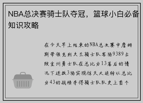 NBA总决赛骑士队夺冠，篮球小白必备知识攻略